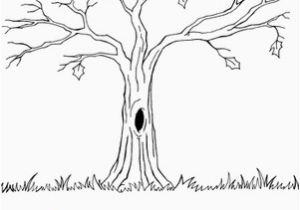 Maple Syrup Coloring Pages Bare Tree Worksheet