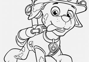 Marshall Fire Truck Coloring Page Beispielbilder Färben Malvorlagen Kinder Paw Patrol