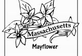 Massachusetts Flag Coloring Page Massachusetts Flag Coloring Page Awesome State Flower Coloring Pages