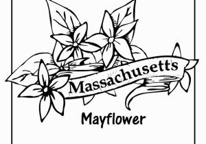 Massachusetts Flag Coloring Page Massachusetts Flag Coloring Page Awesome State Flower Coloring Pages