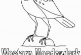 Meadowlark Coloring Page Beautiful Printable Bird Coloring Pages