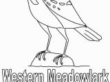 Meadowlark Coloring Page Beautiful Printable Bird Coloring Pages