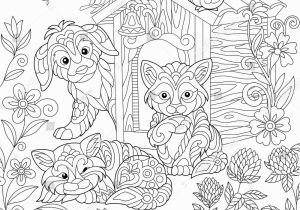 Meadowlark Coloring Page Bird Coloring Pages for Kids Printable Bird Coloring Pages Design