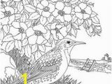 Meadowlark Coloring Page Flower Page Printable Coloring Sheets