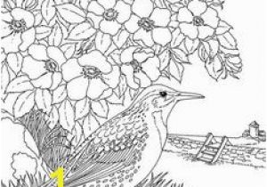 Meadowlark Coloring Page Flower Page Printable Coloring Sheets
