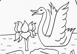 Meadowlark Coloring Page Free Birds Coloring Pages Printable for Kids for Adults In Fresh