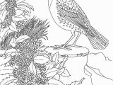 Meadowlark Coloring Page Free Printable Coloring Page oregon State Bird and Flower Western