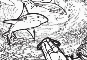 Megalodon Coloring Pages to Print 27 Free Coloring Pages Shark
