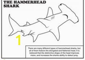 Megalodon Coloring Pages to Print 73 Best Shark Coloring Pages Images On Pinterest