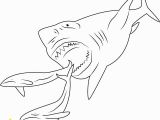 Megalodon Coloring Pages to Print Megalodon Coloring Pages Coloring Pages Sharks Coloring Pages