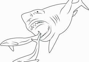 Megalodon Coloring Pages to Print Megalodon Coloring Pages Coloring Pages Sharks Coloring Pages