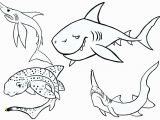 Megalodon Coloring Pages to Print Megalodon Coloring Pages Coloring Pages Sharks Coloring Pages