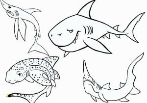 Megalodon Coloring Pages to Print Megalodon Coloring Pages Coloring Pages Sharks Coloring Pages