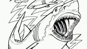 Megalodon Coloring Pages to Print Sharks Coloring Page Cartoon Pinterest