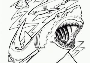 Megalodon Coloring Pages to Print Sharks Coloring Page Cartoon Pinterest