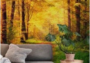 Mexican Wallpaper Murals 233 Best forest Wall Murals Images In 2019