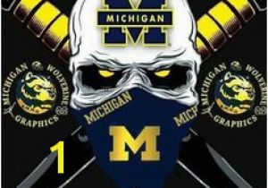 Michigan Stadium Wall Mural 150 Best U Of M Football Images