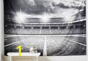 Michigan Stadium Wall Mural 150 Best U Of M Football Images