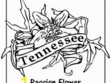 Michigan State Flower Coloring Page State Flower Coloring Pages West Virginia State Flower Coloring Page