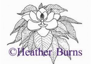 Mississippi Coloring Pages 49 Best State Flower Coloring Book Images