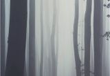 Misty forest Wall Mural Misty forest Wallpaper