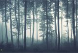 Misty forest Wall Mural Sea Of Trees forest Mural Wallpaper