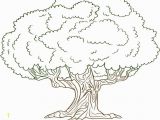 Mm Coloring Pages Unique Trees Coloring Sheet Gallery