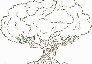 Mm Coloring Pages Unique Trees Coloring Sheet Gallery