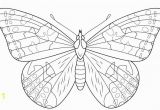 Monarch butterfly Coloring Page 11 Inspirational Monarch butterfly Coloring Page