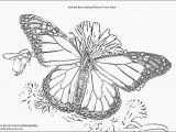 Monarch butterfly Coloring Page Free Printable butterfly Coloring Pages New Beautiful Printable Kids