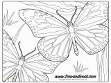 Monarch butterfly Coloring Page Monarch butterfly Coloring Page Tim S Printables