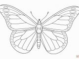 Monarch butterfly Coloring Page Monarch butterfly Coloring Pages Free Gallery