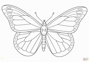 Monarch butterfly Coloring Page Monarch butterfly Coloring Pages Free Gallery