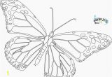 Monarch butterfly Coloring Page Monarch butterfly Coloring Pages