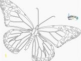 Monarch butterfly Coloring Page Monarch butterfly Coloring Pages