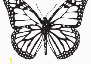 Monarch butterfly Coloring Page Monarch butterfly Coloring Sheet