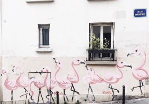 Montmartre Paris Wall Mural Flamingos Montmartre Paris France