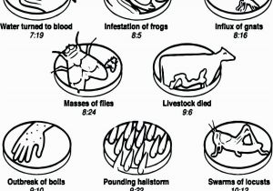 Moses and the 10 Plagues Coloring Pages How to Draw the Ten Plagues Google Search