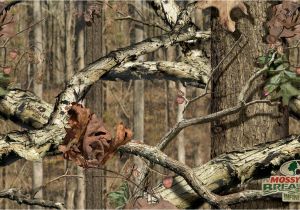 Mossy Oak Wall Mural 47 ] Camouflage Background Wallpaper On Wallpapersafari