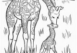 Mother and Baby Animal Coloring Pages Baby Giraffe Coloring Page Five In A Row Fiar