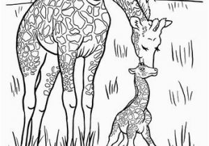 Mother and Baby Animal Coloring Pages Baby Giraffe Coloring Page Five In A Row Fiar