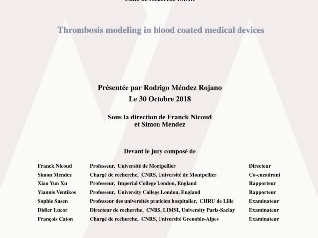 Mural Thrombus Treatment Putational Model Of Device Induced Thrombosis and Thromboembolism ...