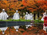 Mural Wall Korean War Memorial Must See Monuments & Memorials On the National Mall