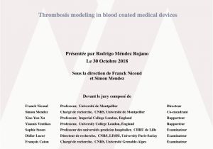 Mural Wall Thrombus Putational Model Of Device Induced Thrombosis and Thromboembolism