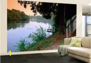 Murals for Large Walls Wall Mural Cane River Wall Sticker by John Elk Iii