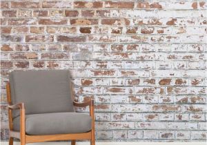 Murals On Wall which are Bricks Ranging From Grunge Style Concrete Walls to Classic Effect