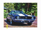 Muscle Car Wall Murals Muscle Car Canvas Art & Prints