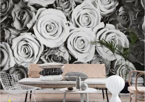 Music Murals for Walls Roses Black and White Wall Mural Riah S Lounge