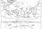 National Geographic Coloring Pages Animal Coloring Picture Fresh Animal Coloring Pages National