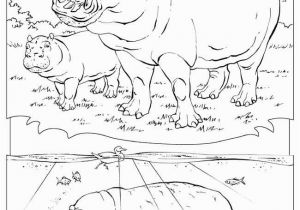 National Geographic Coloring Pages Animal Coloring Picture Fresh Animal Coloring Pages National